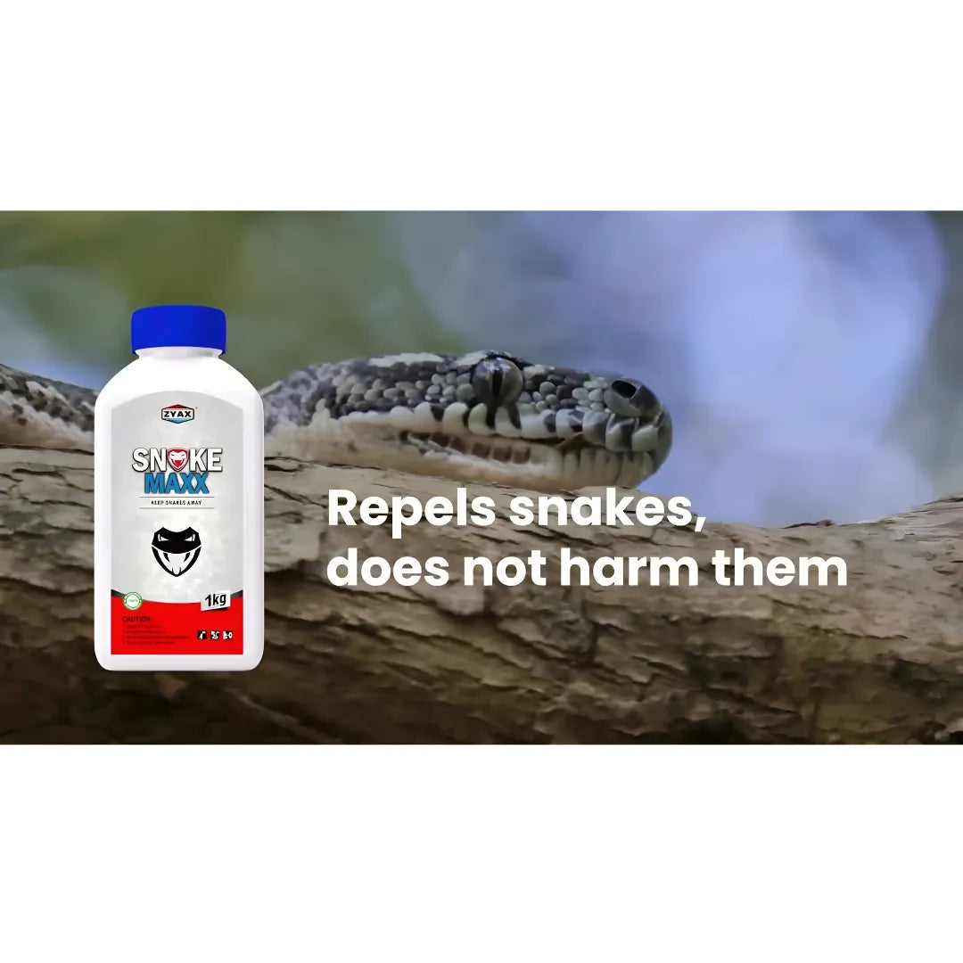 Snake Maxx Pet-Friendly Repellent Powder