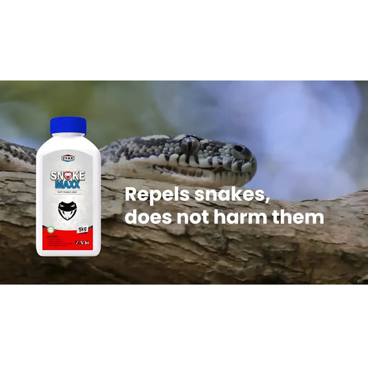 Snake Maxx Pet-Friendly Repellent Powder